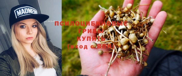 гашик Алзамай