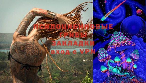 гашик Алзамай