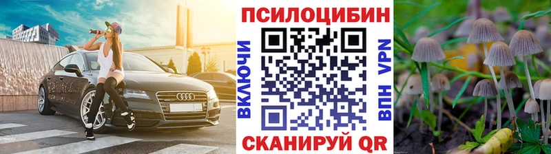 Псилоцибиновые грибы мухоморы  darknet состав  Моздок 