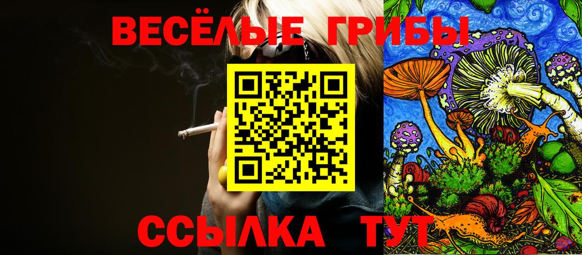 Псилоцибиновые грибы Моздок
