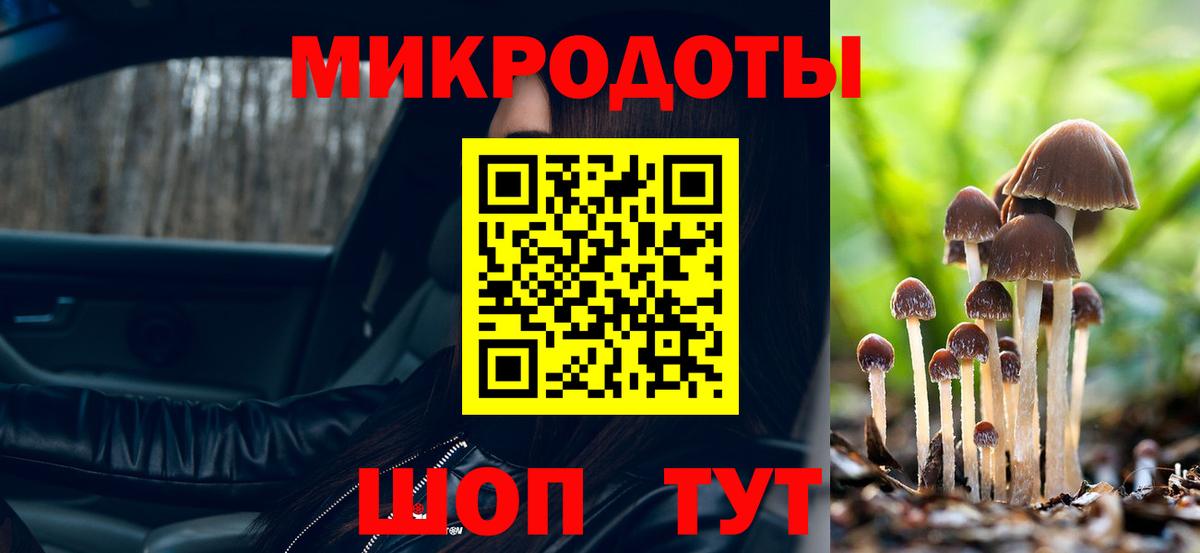 Псилоцибиновые грибы GOLDEN TEACHER Моздок