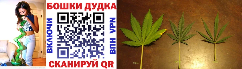 мориарти как зайти  KRAKEN сайт  Марихуана VHQ  Моздок  сколько стоит 